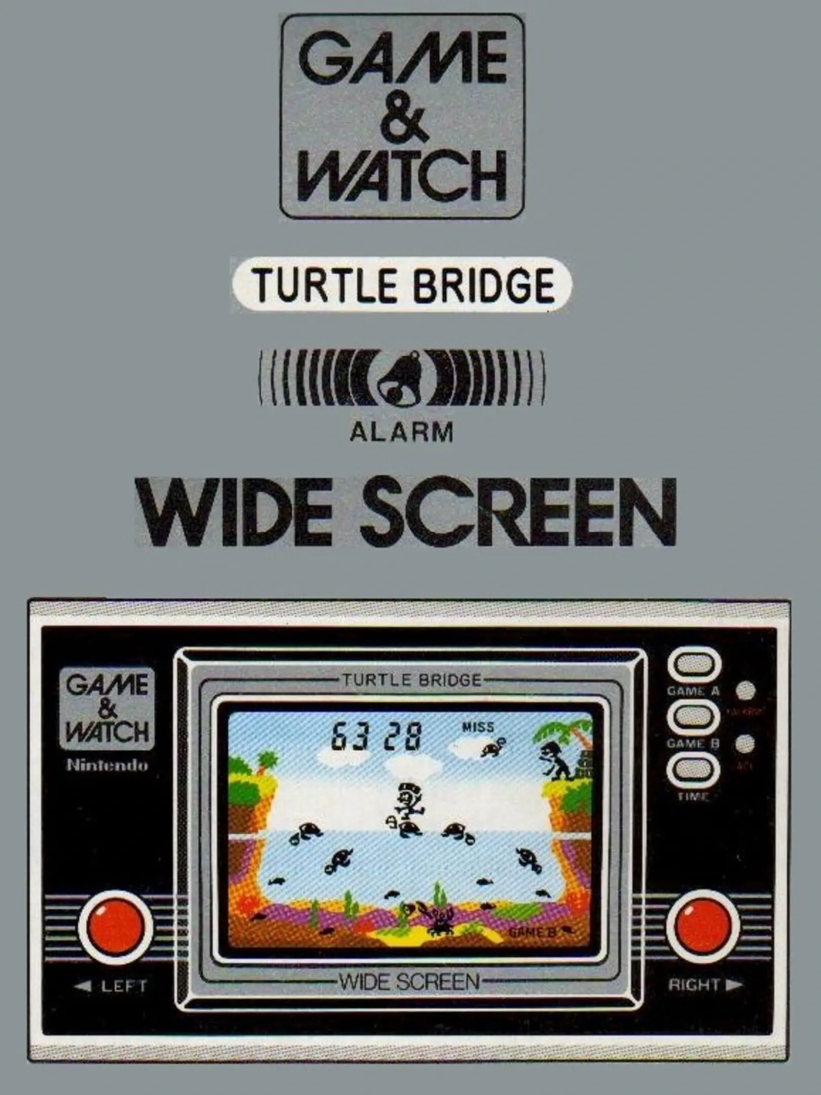 Picture of Turtle Bridge