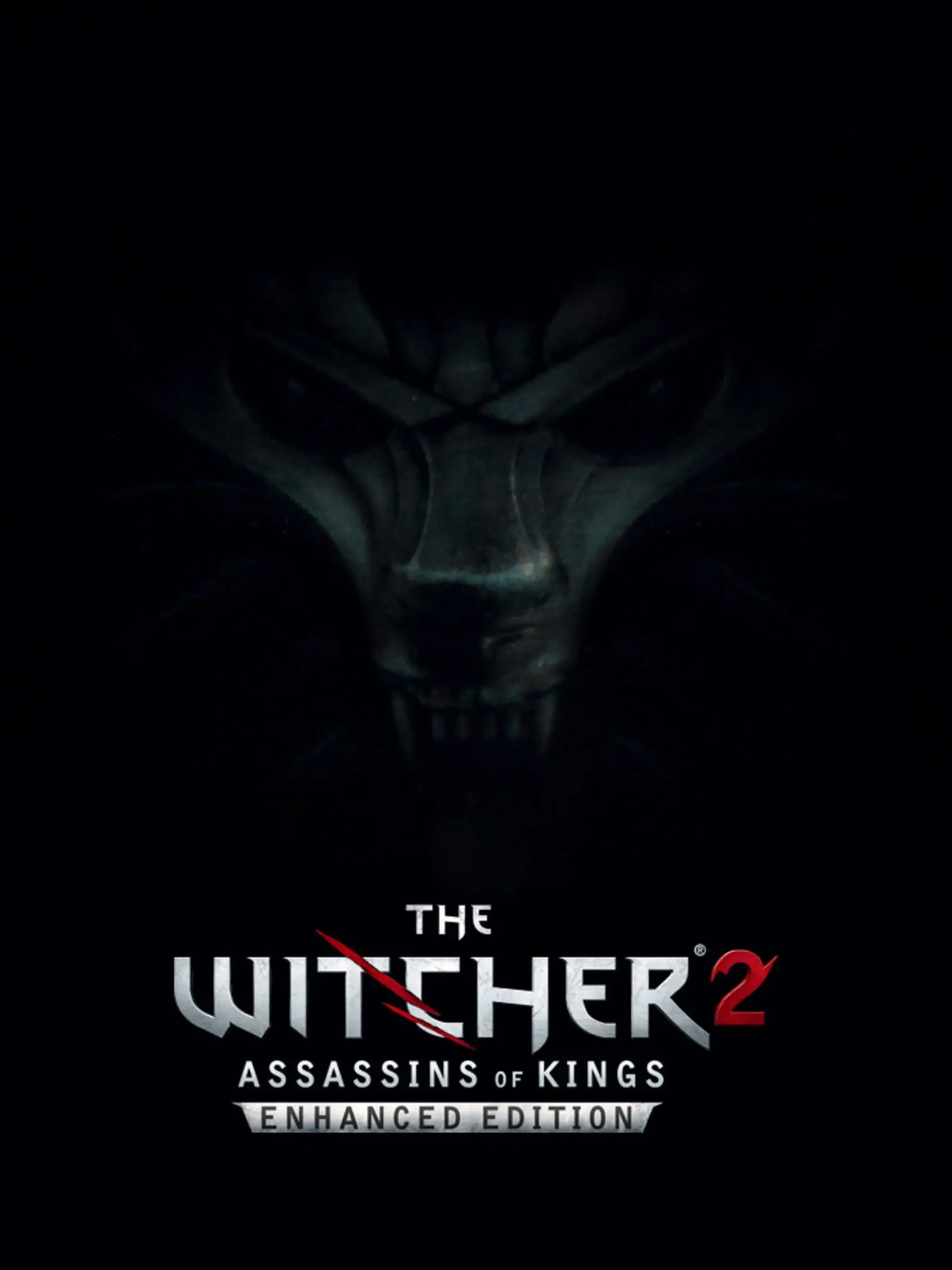 The Witcher 2: Assassins of Kings