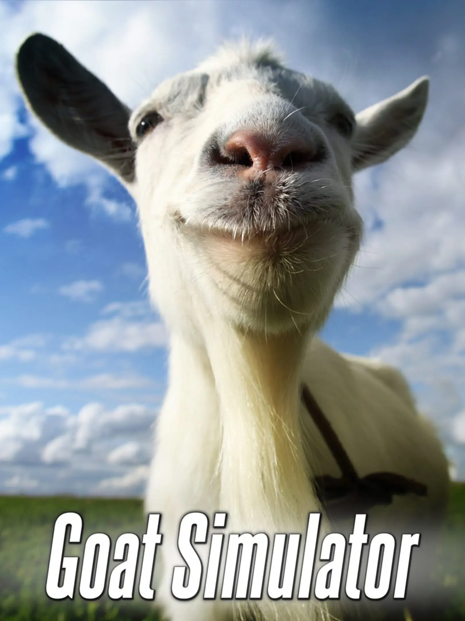 Picture of Goat Simulator