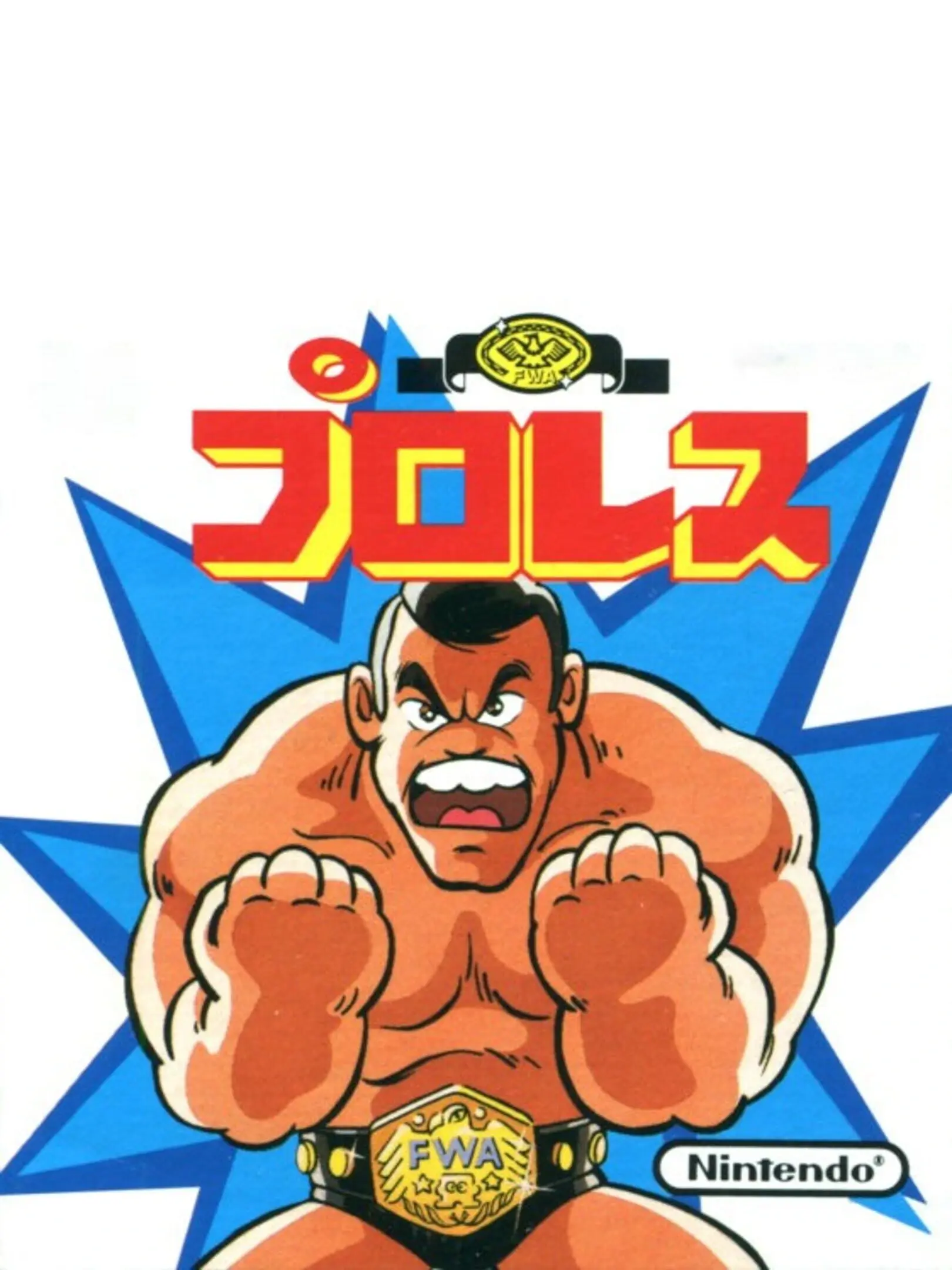 Picture of Pro Wrestling (2)