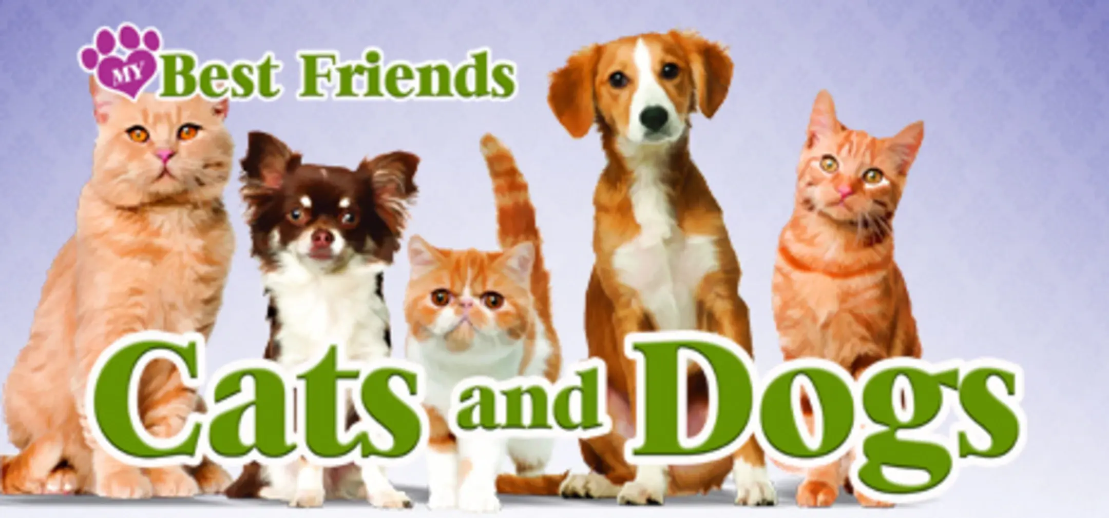 Picture of Best Friends: Hunde & Katzen