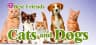 Picture of Best Friends: Hunde & Katzen