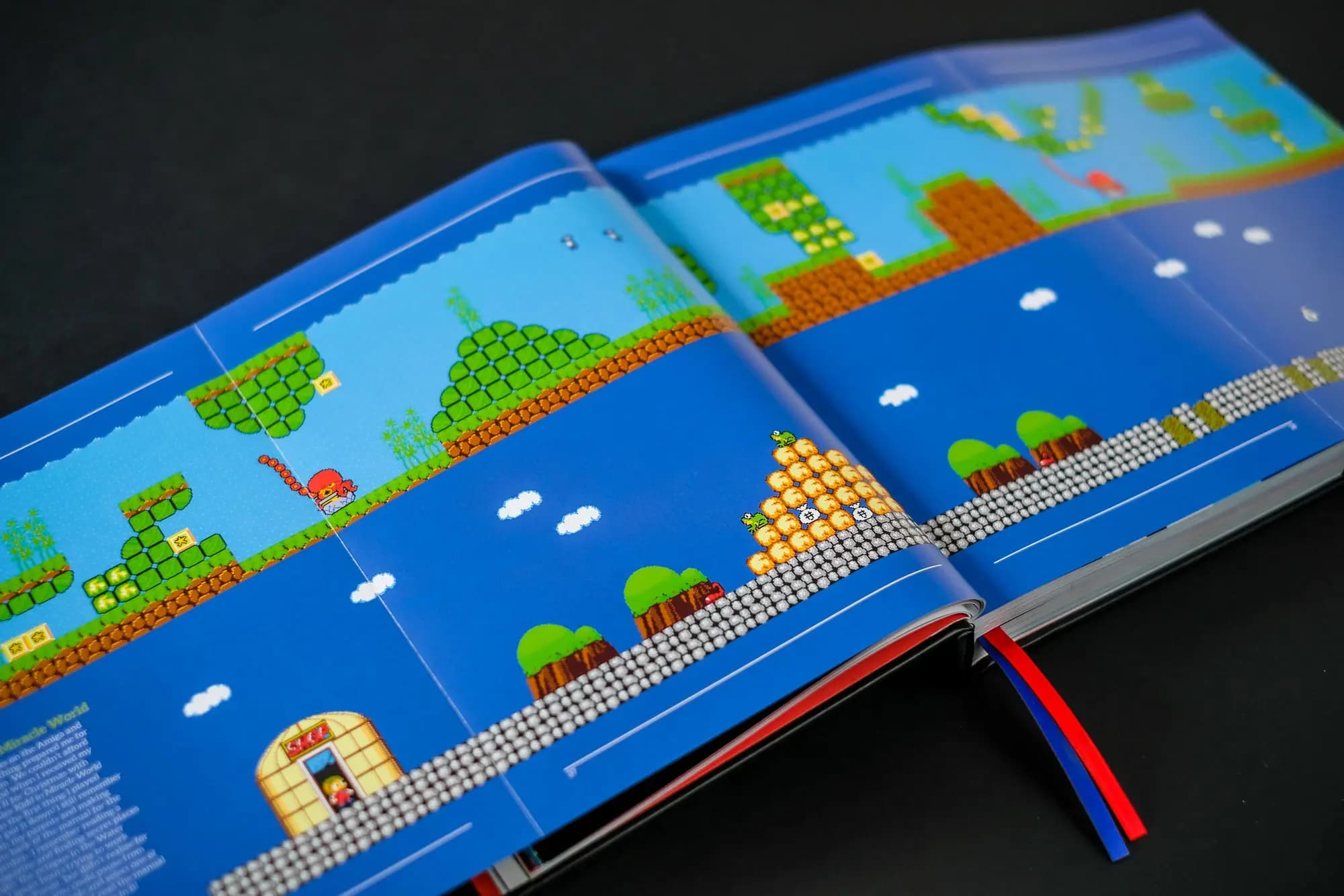 Picture of SEGA Master System: a visual compendium 8