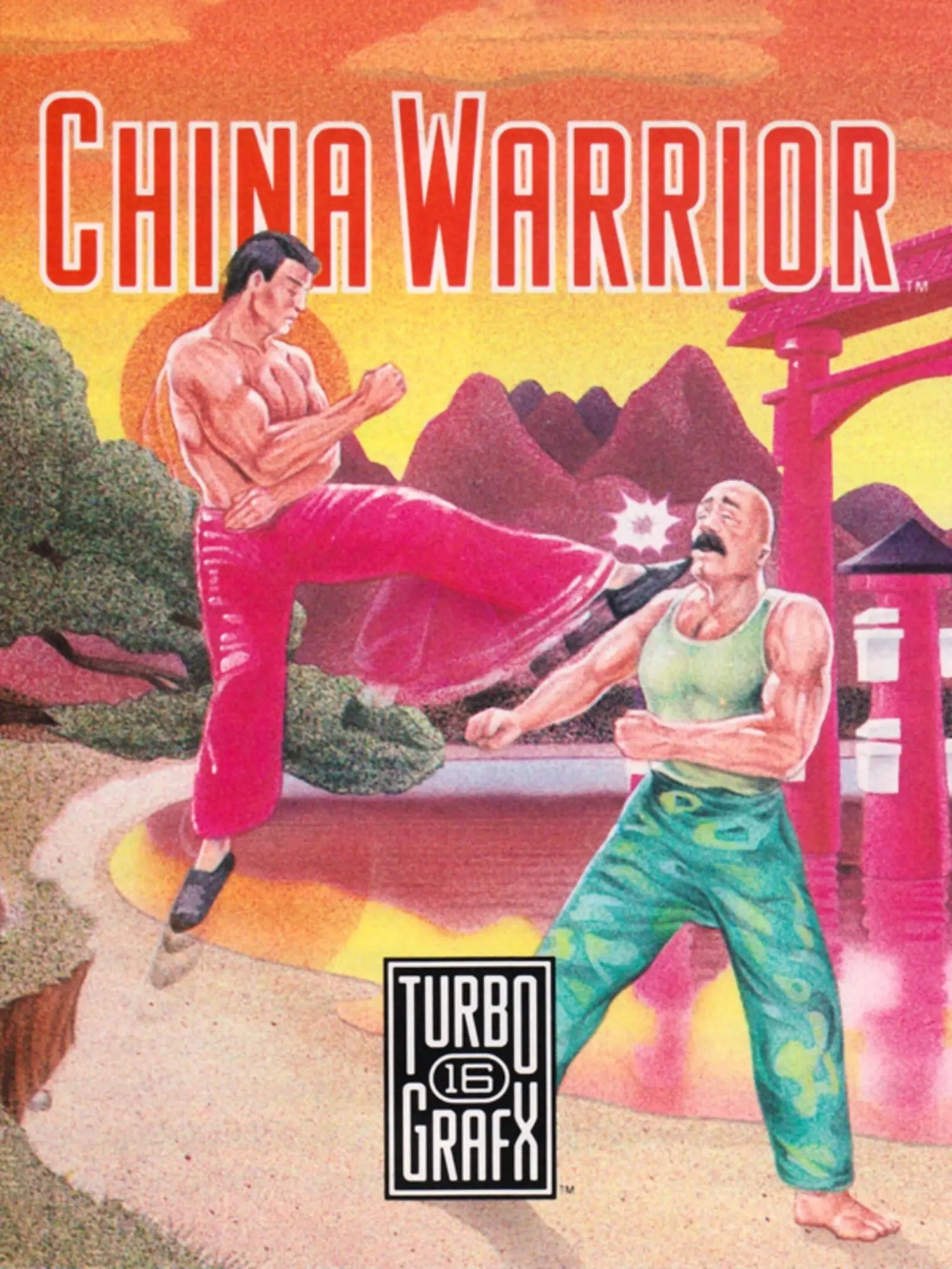 Picture of China Warrior