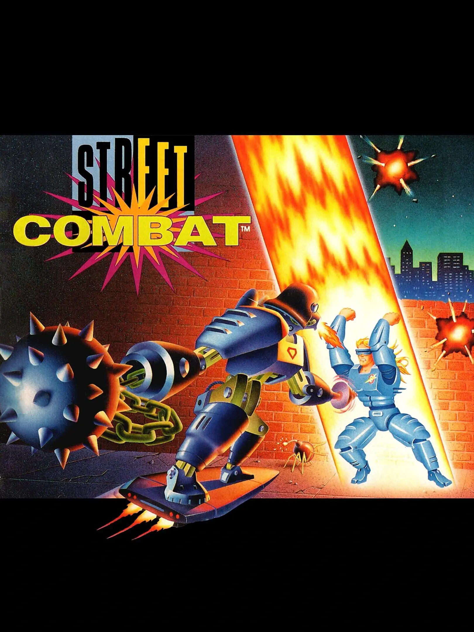 Picture of Street Combat