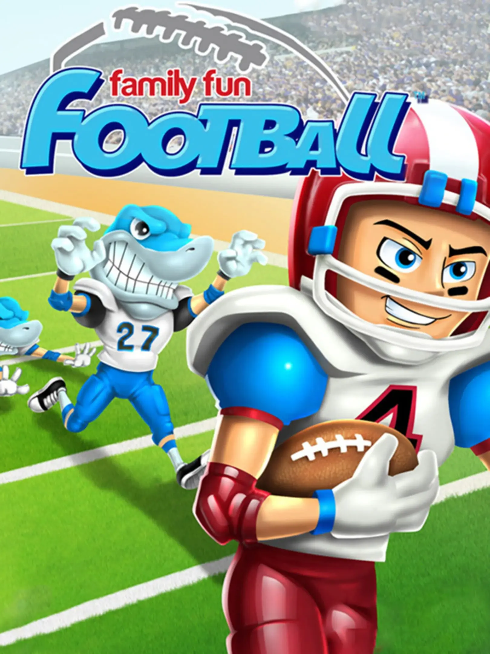 Picture of Family Fun Football