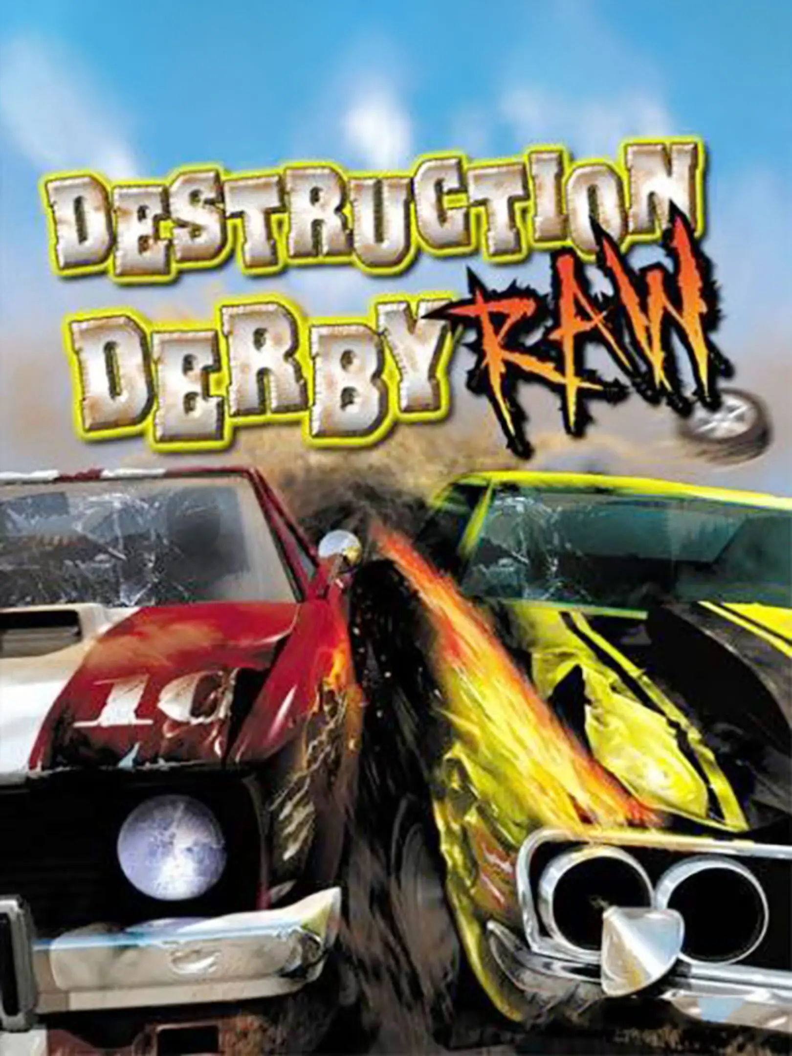 Picture of Destruction Derby Raw