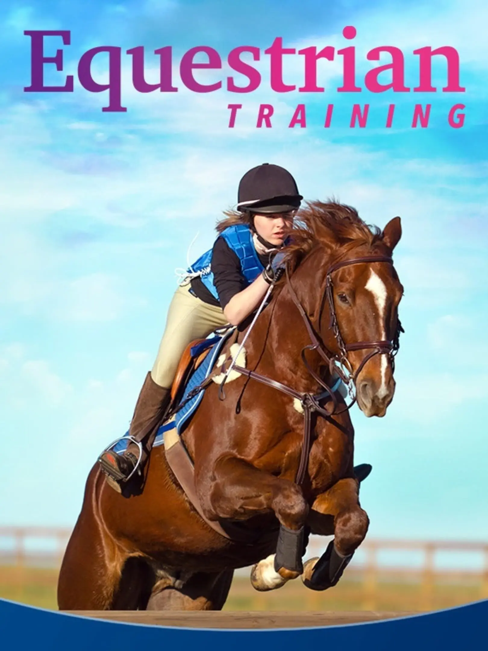 Picture of Dein erstes Pferd: Die Reitschule