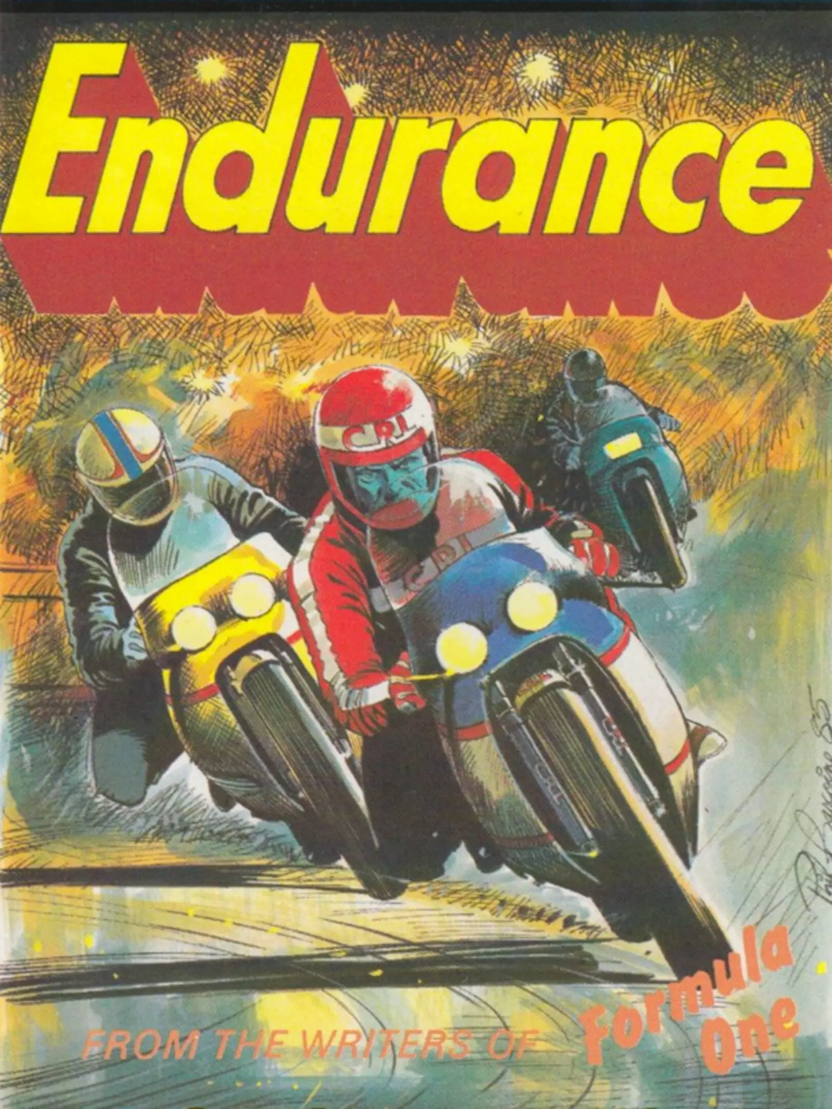 Picture of Endurance