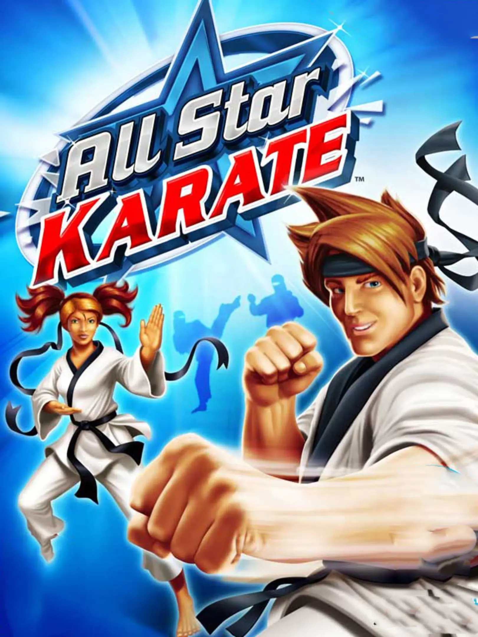 Picture of All Star Karate