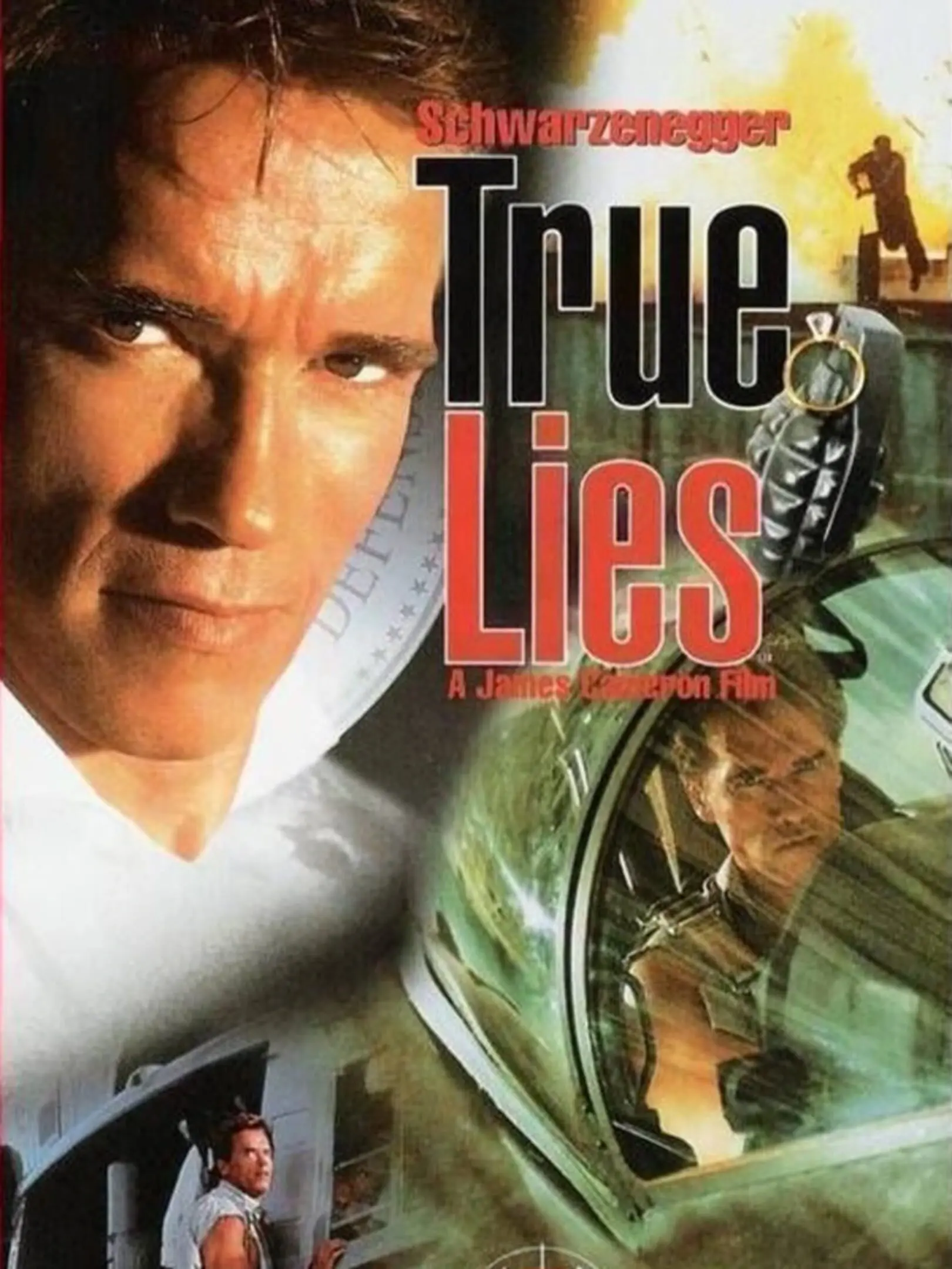 Picture of True Lies