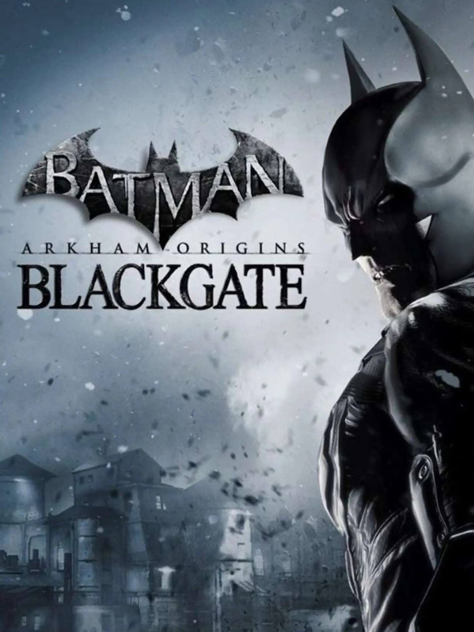 Picture of Batman: Arkham Origins Blackgate