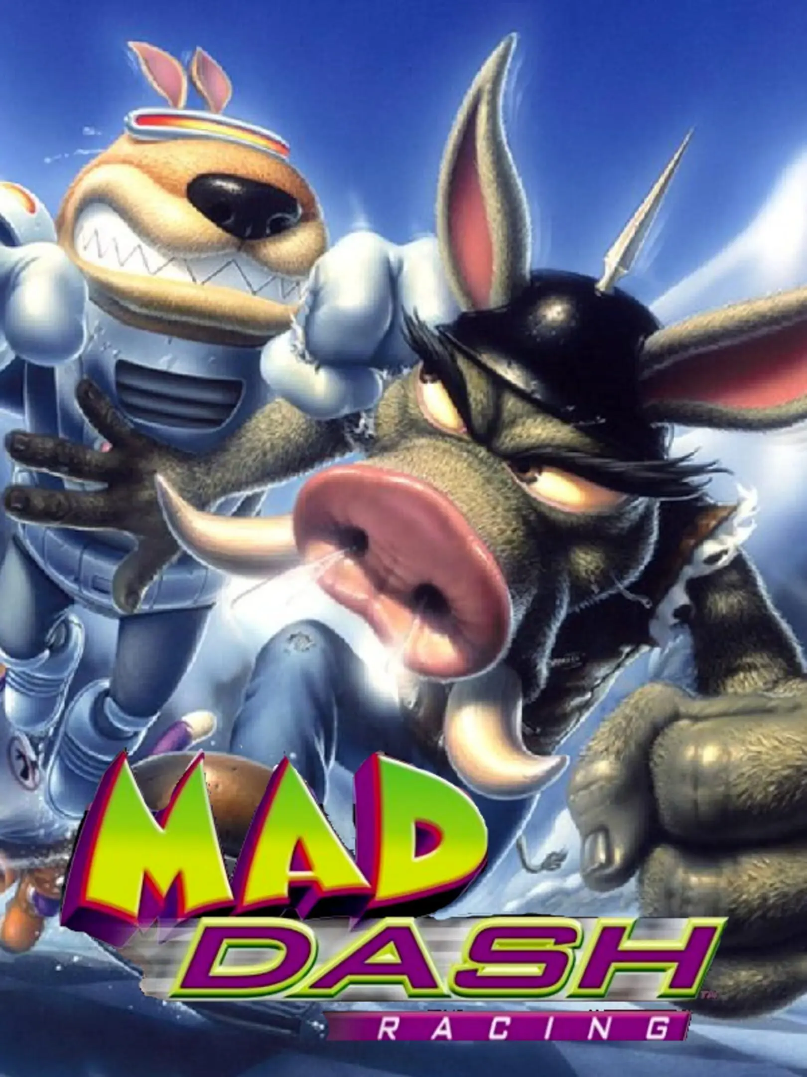 Picture of Mad Dash Racing