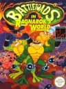 Picture of Battletoads in Ragnarok's World