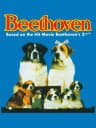 Picture of Beethoven