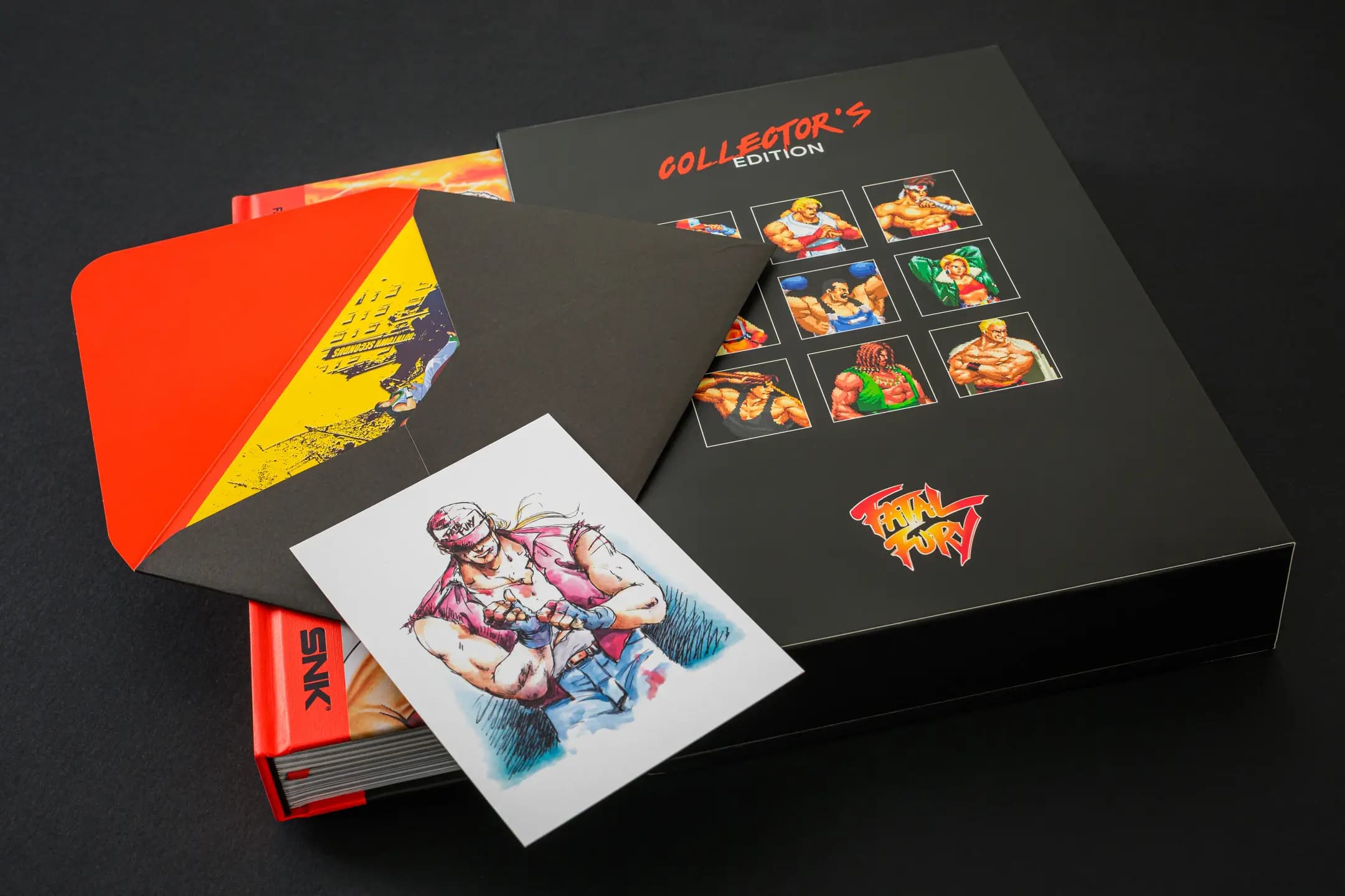 Picture of Fatal Fury/Garou Densetsu: The Ultimate History 2