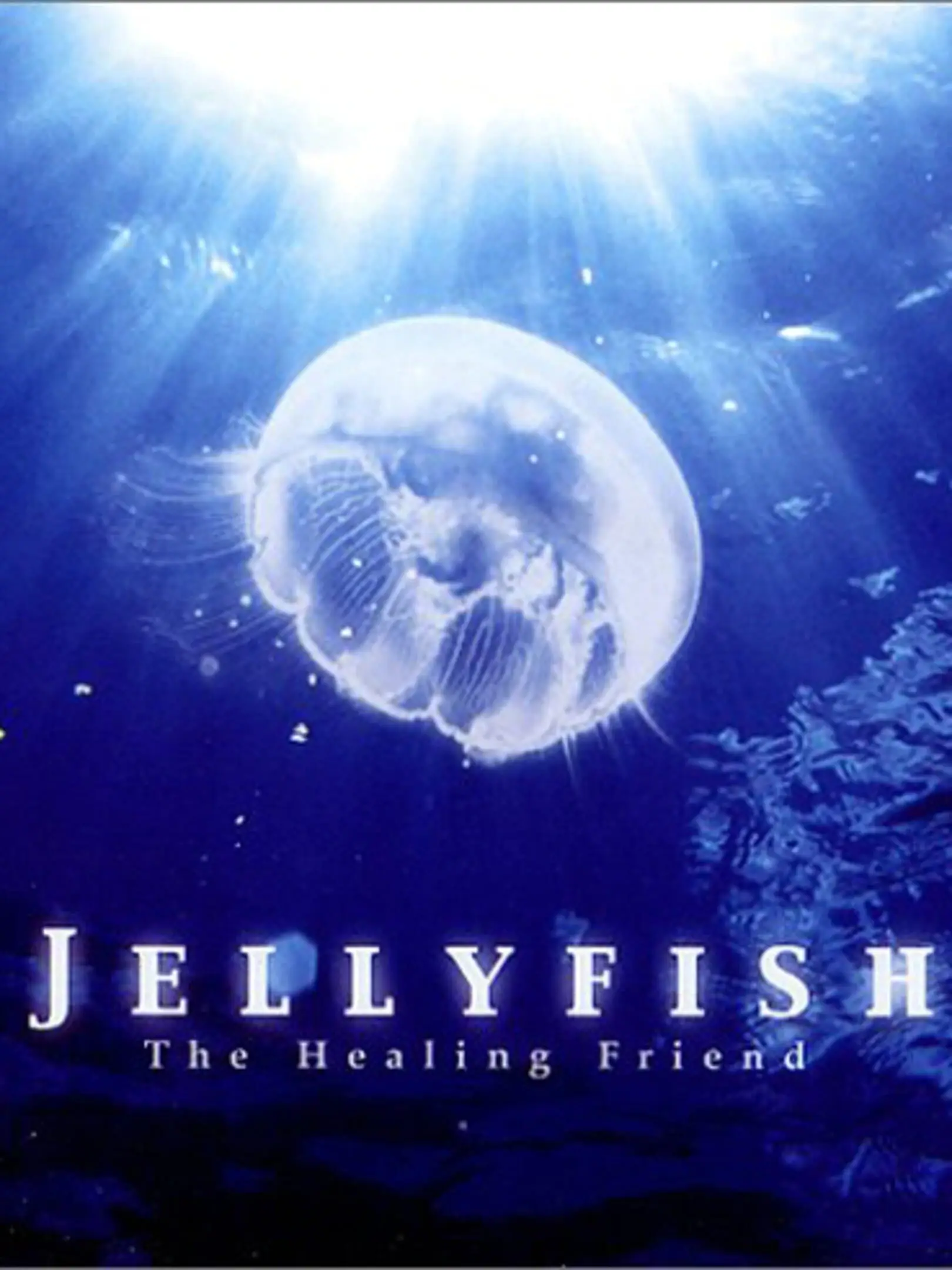 Picture of Jellyfish: The Healing Friend