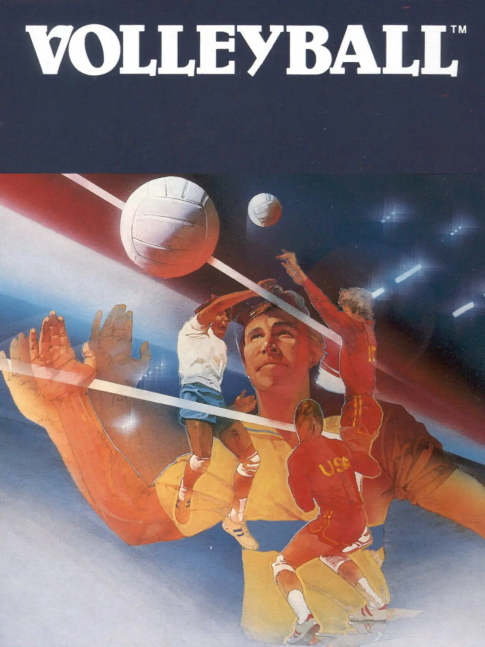RealSports Volleyball