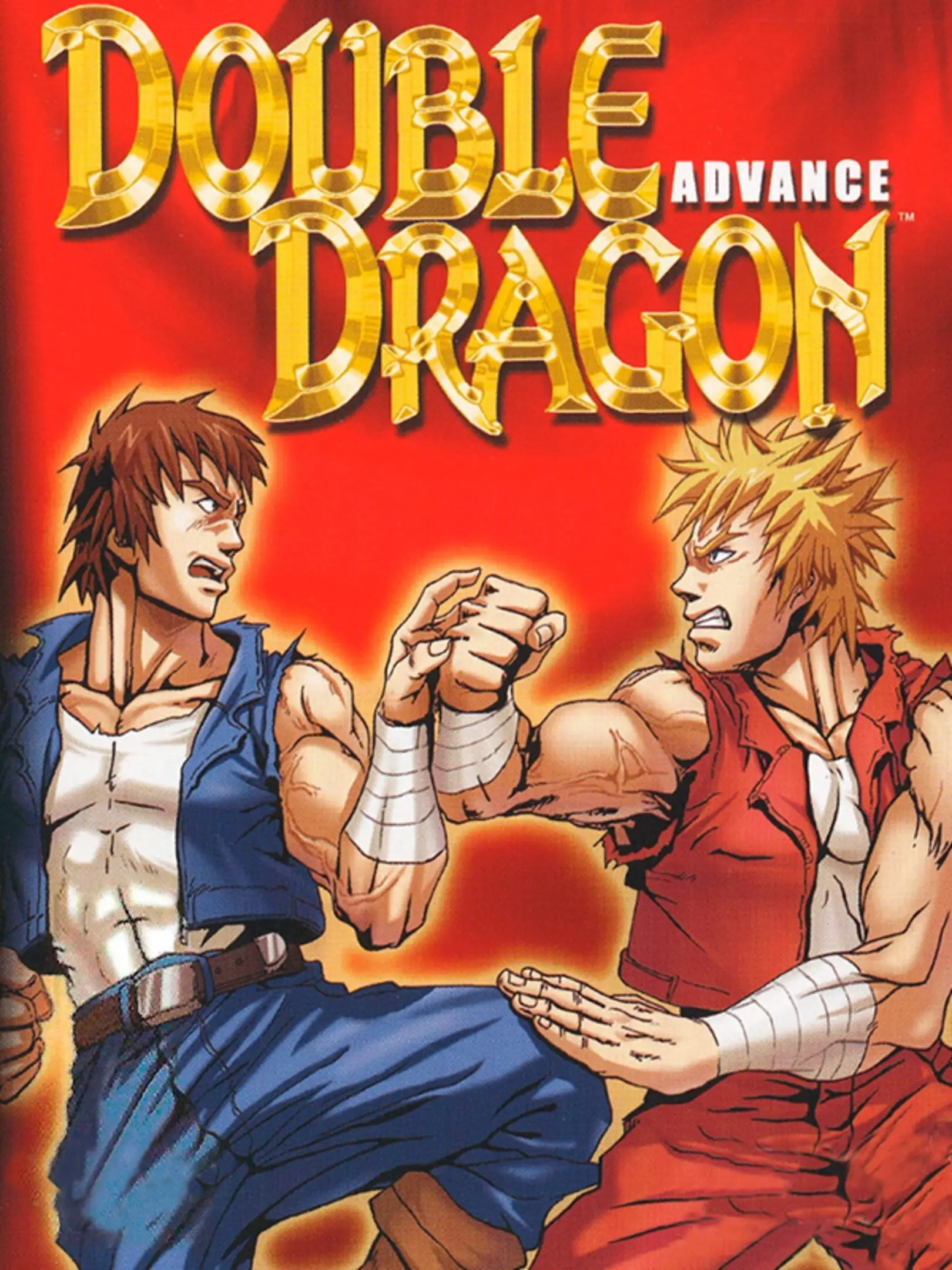 Picture of Double Dragon Advance