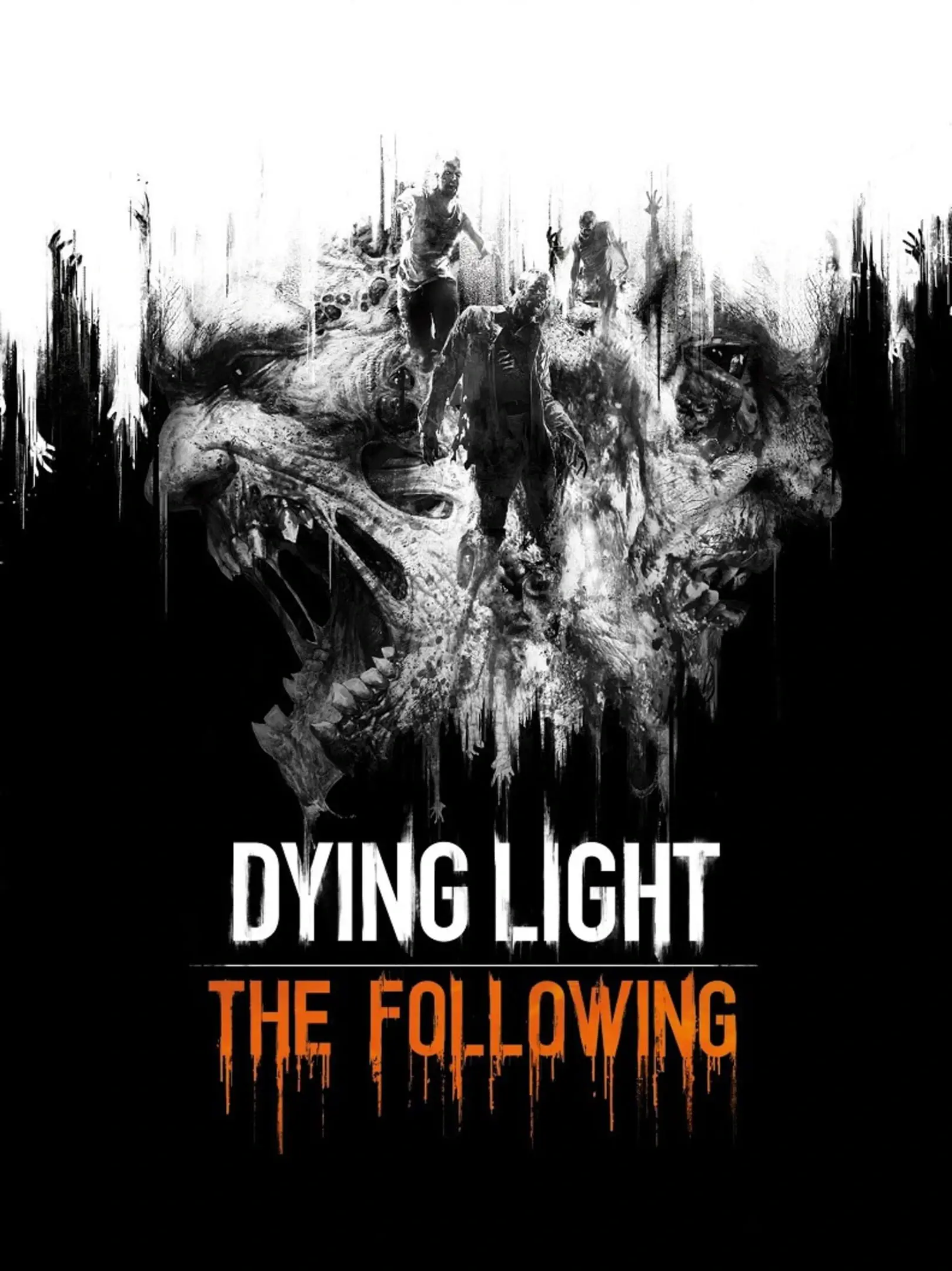 Picture of Dying Light - the following