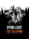 Picture of Dying Light - the following