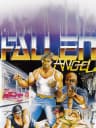 Picture of Fallen Angel