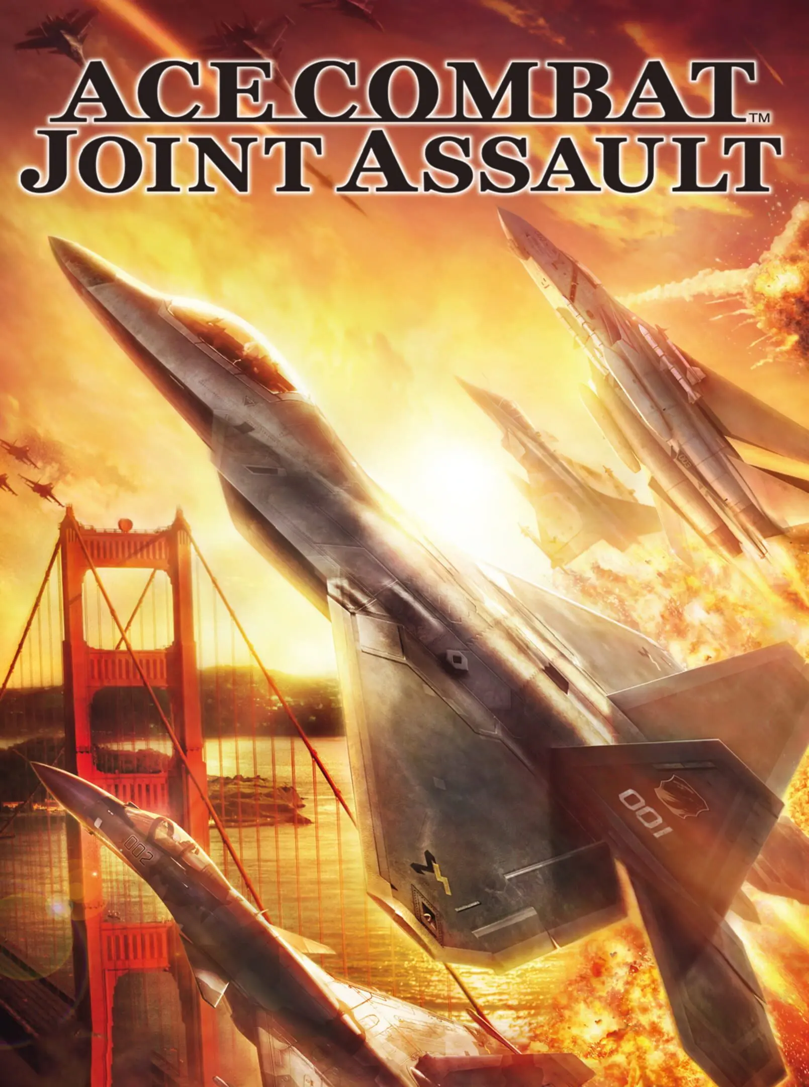Ace Combat X2: Joint Assault