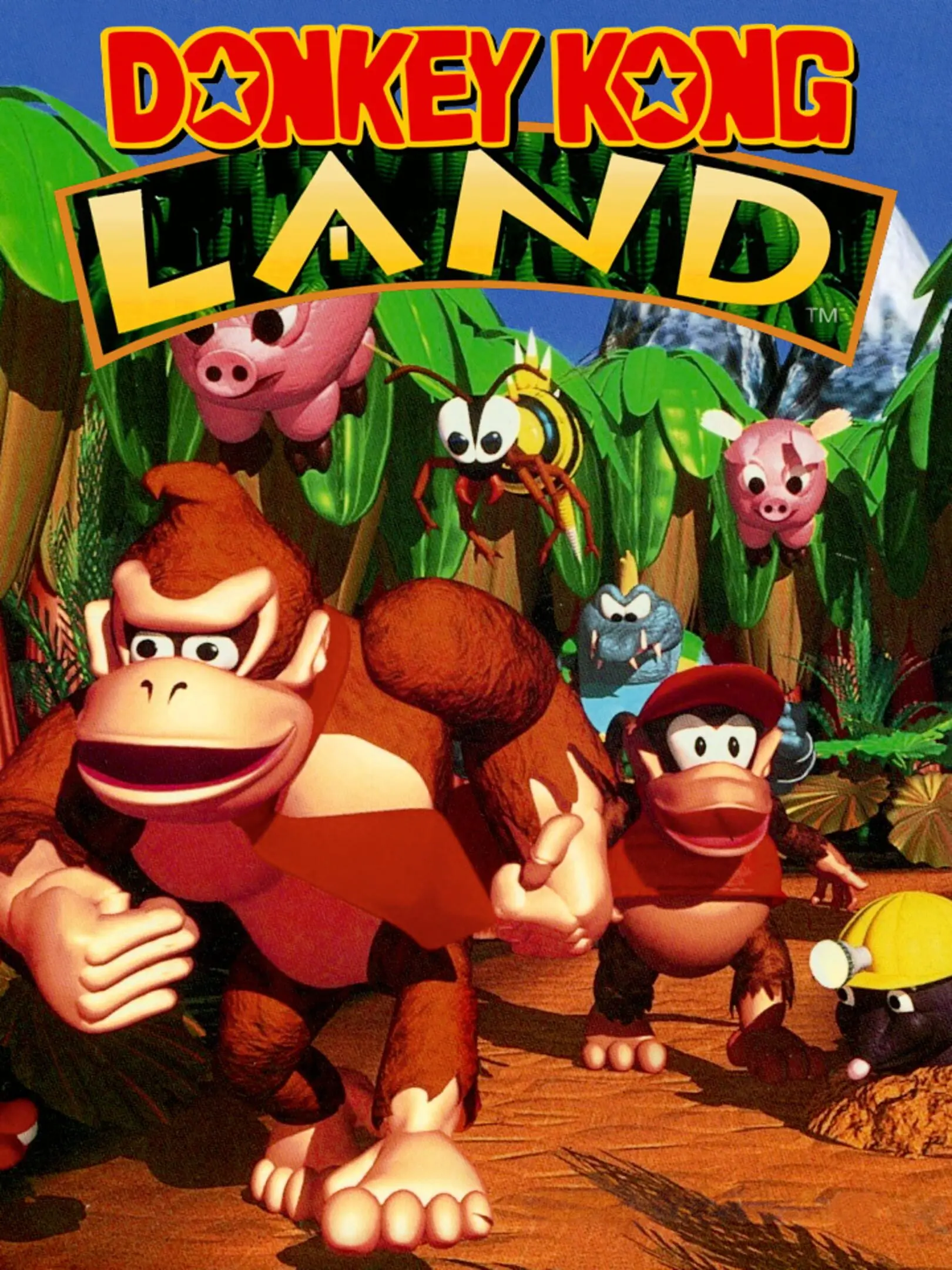 Picture of Donkey Kong Land