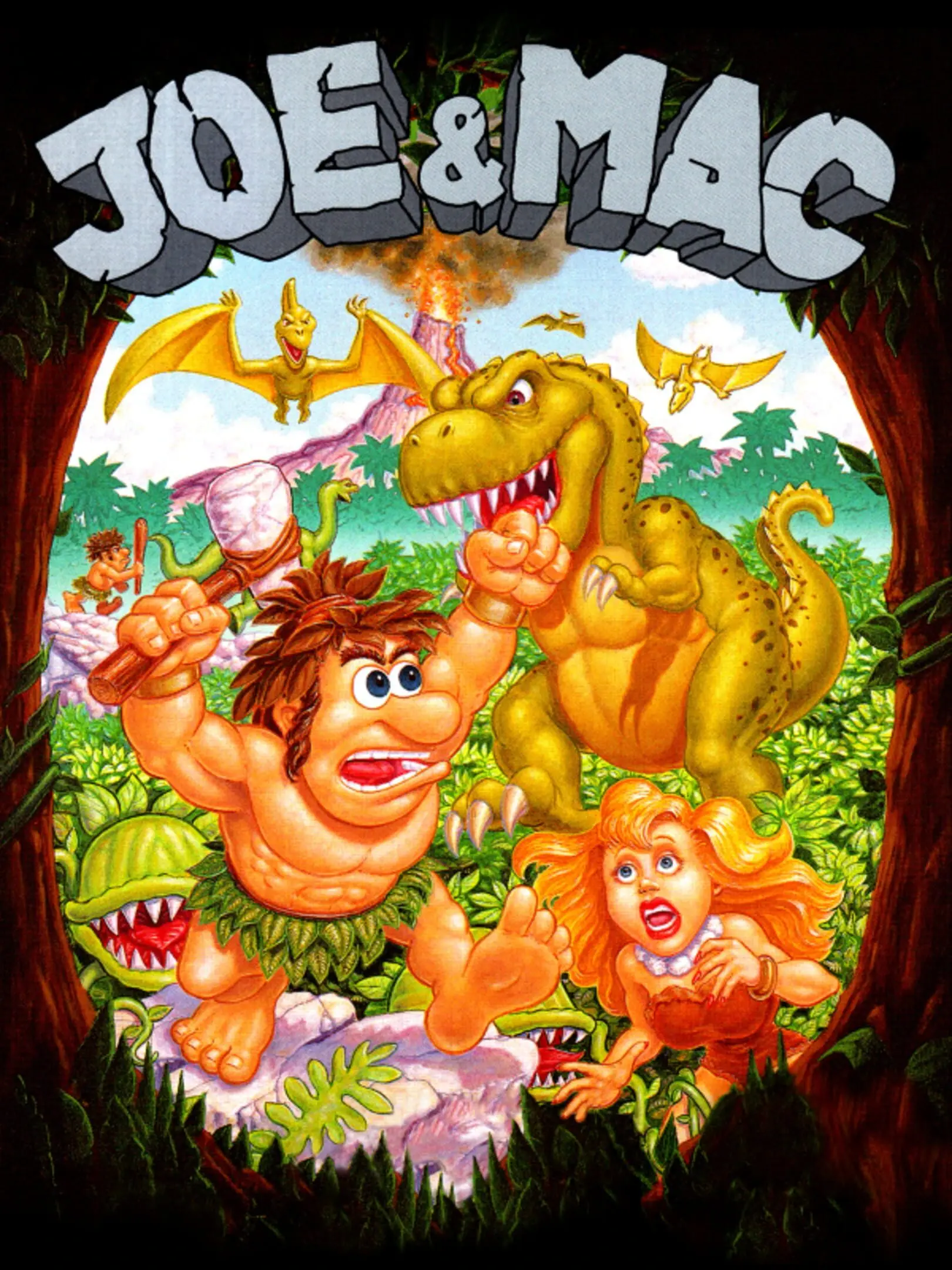 Joe & Mac: Caveman Ninja