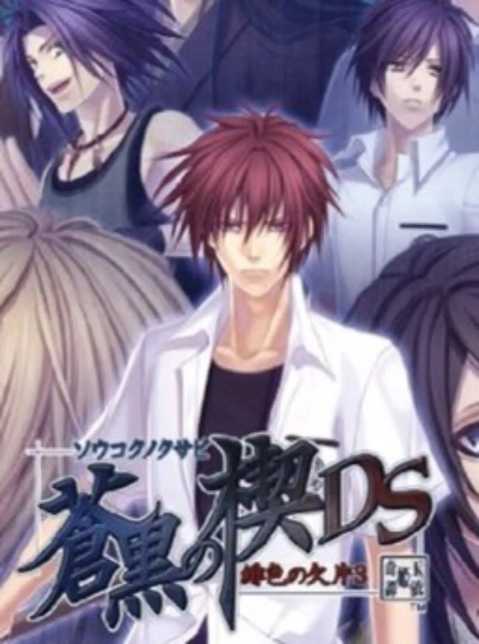 Picture of Soukoku no Kusabi: Hiiro no Kakera 3 DS
