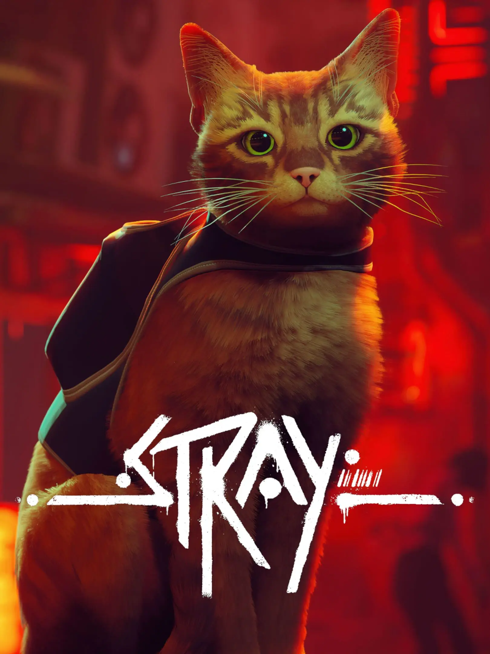Picture of Stray