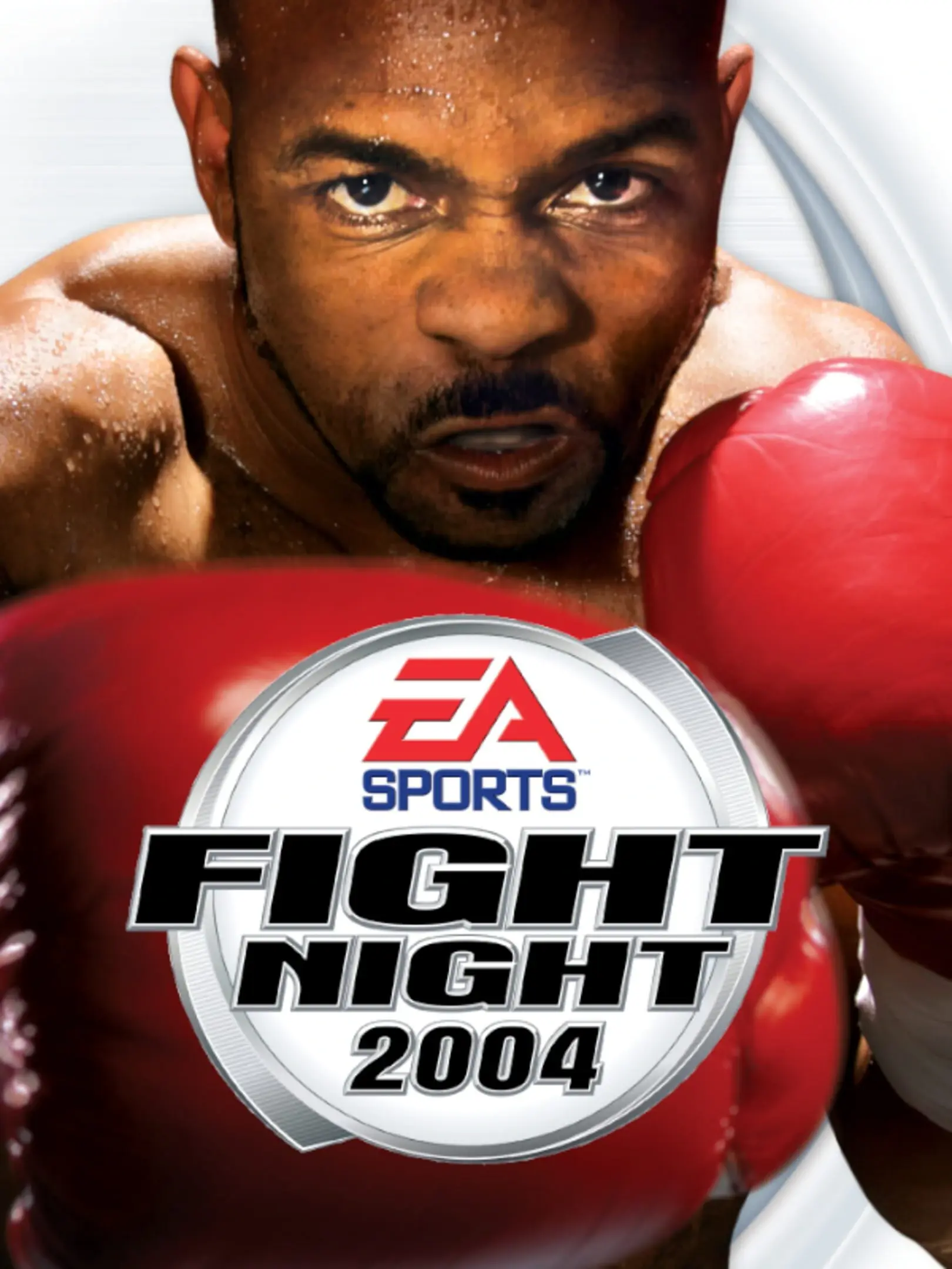 Picture of Fight Night 2004