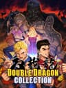 Picture of Double Dragon Collection