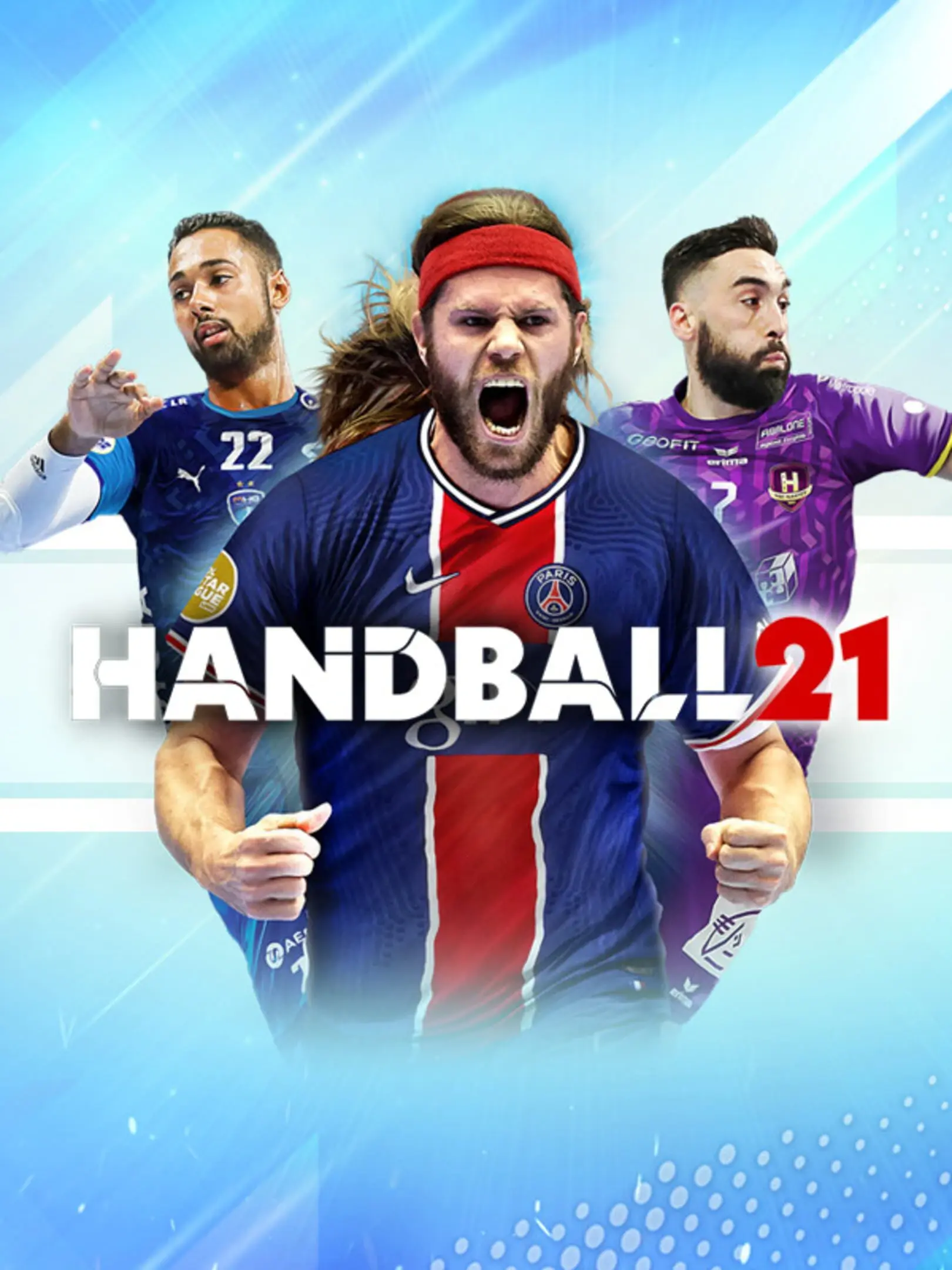 Picture of Handball 21