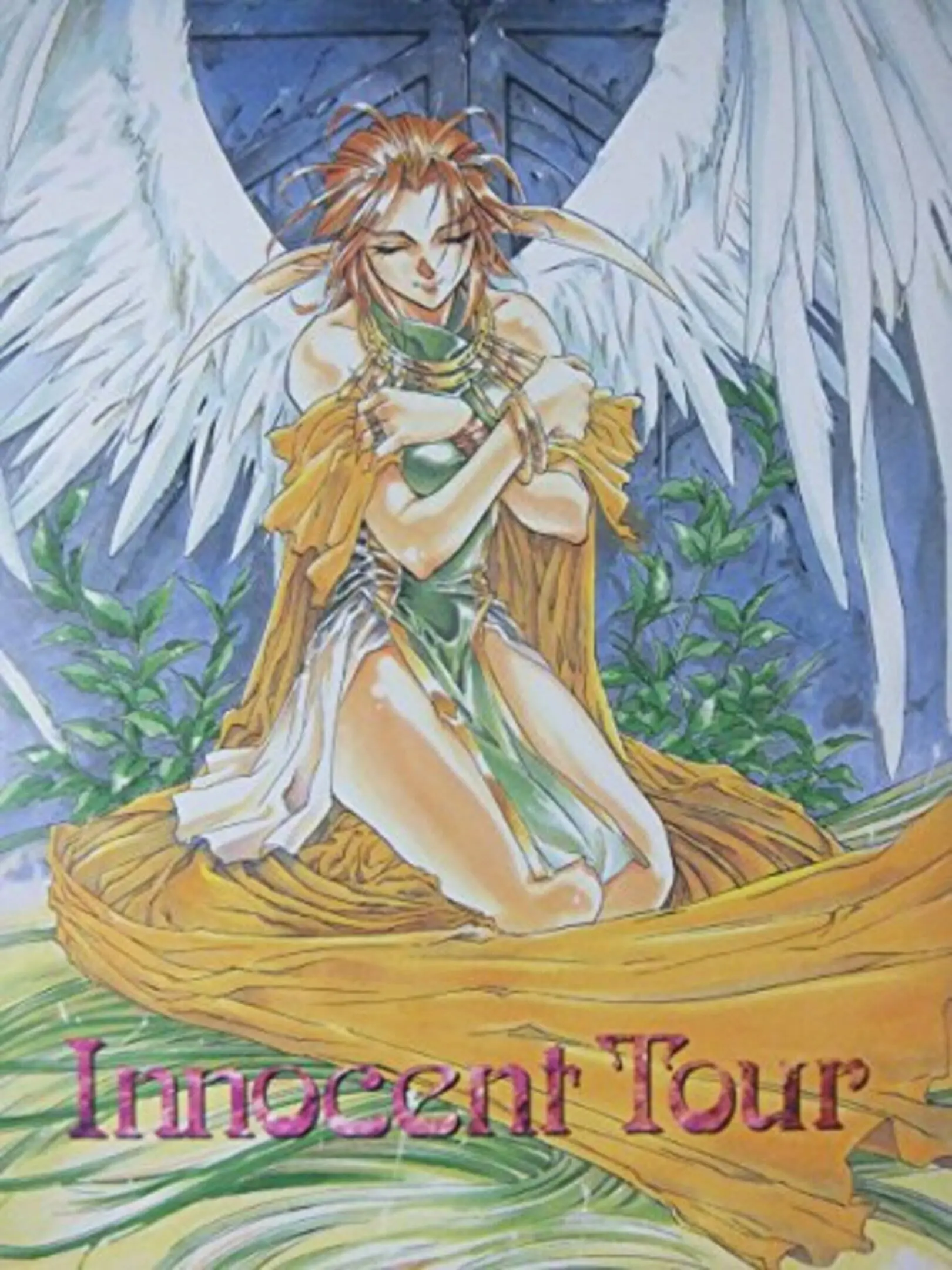 Picture of Innocent Tour