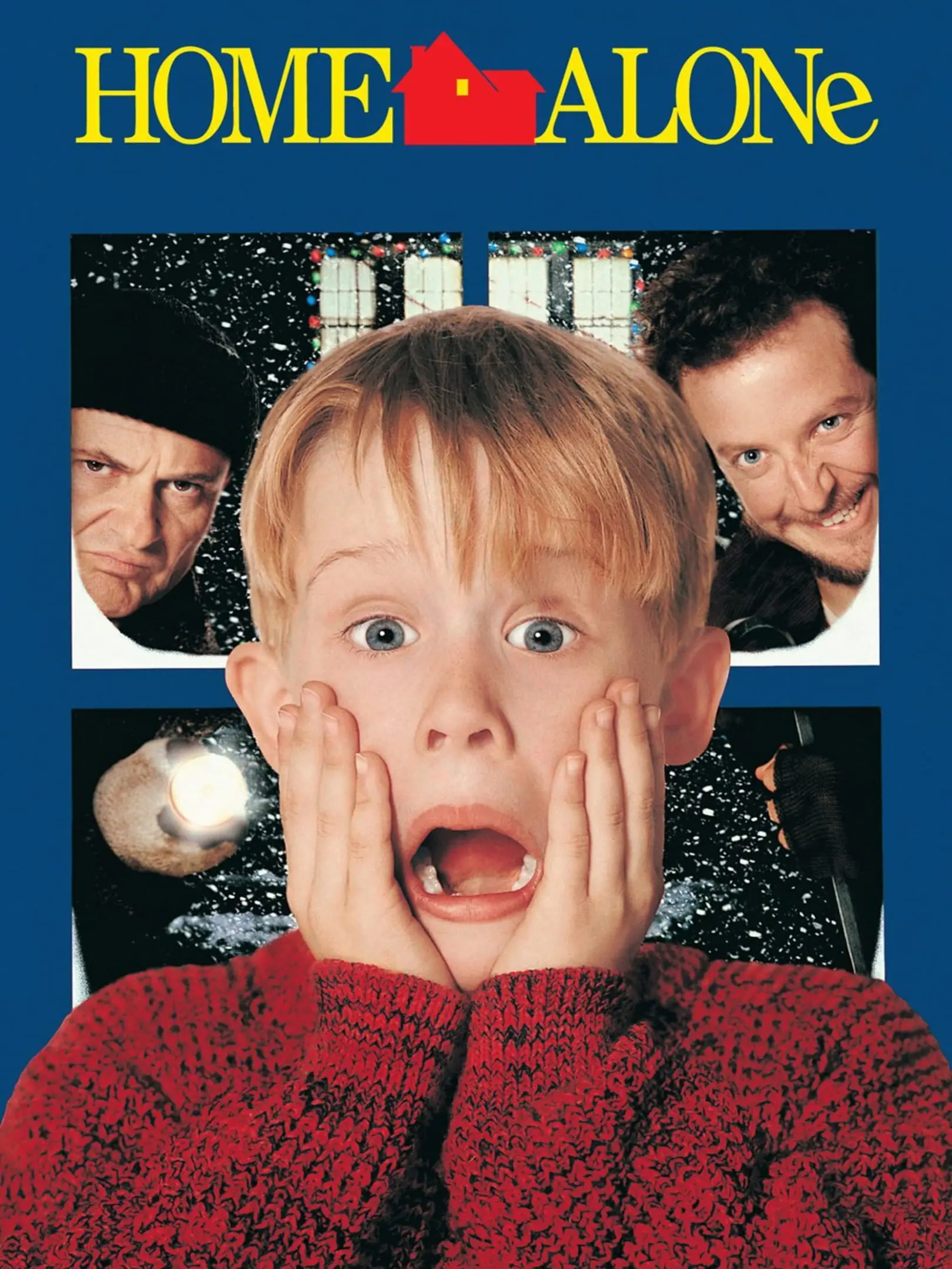 Picture of Home Alone