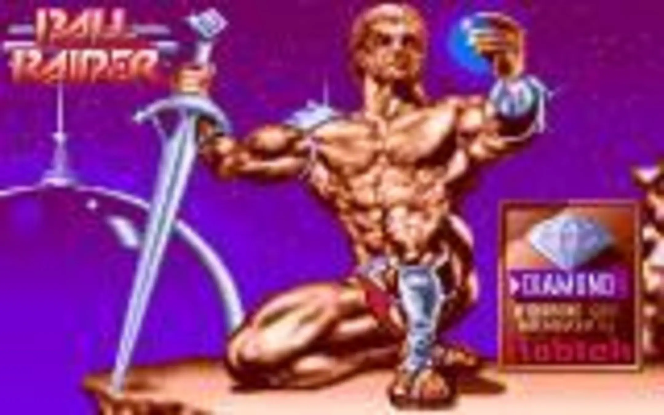 Picture of Ball Raider