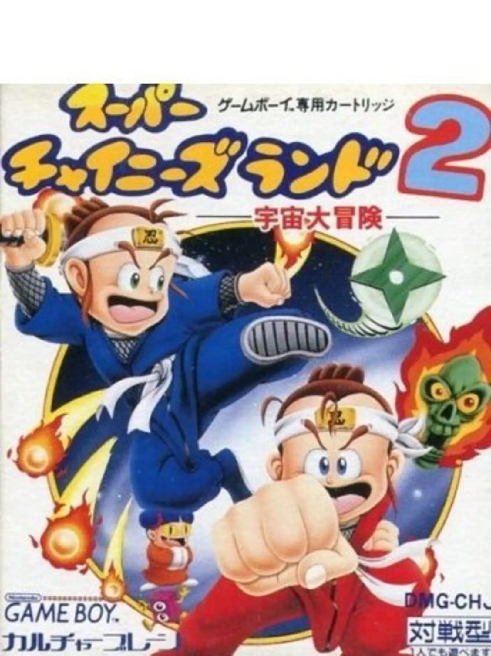 Picture of Ninja Boy 2 (2)