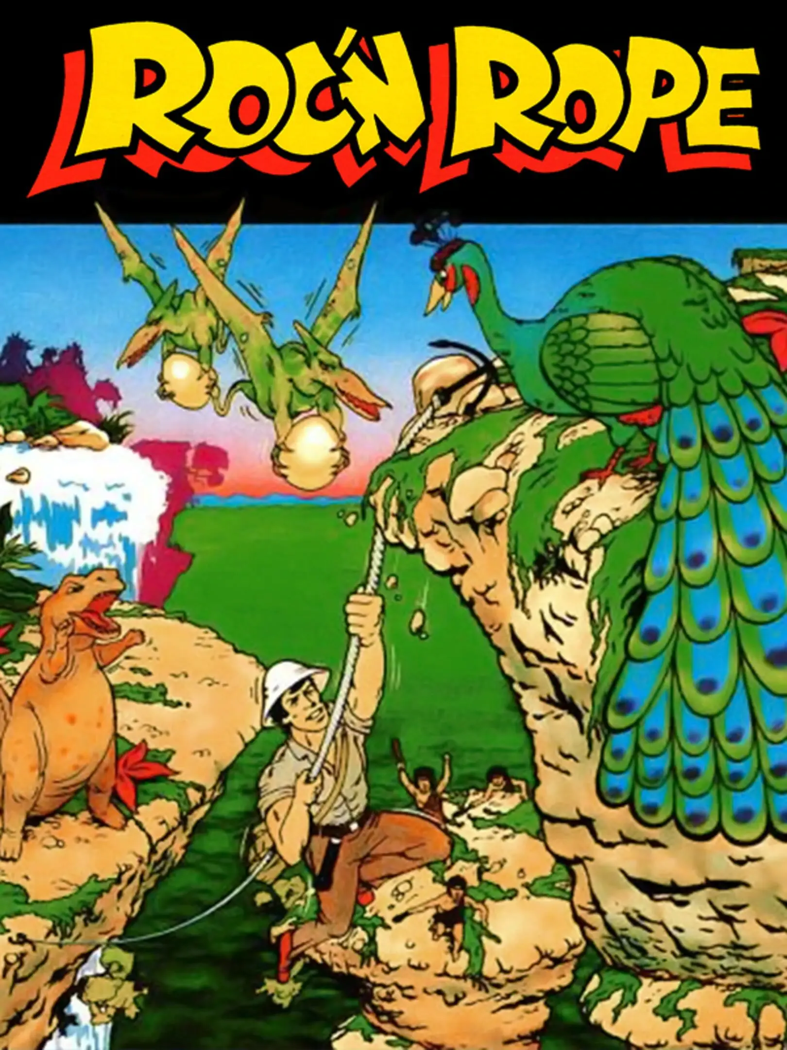 Roc'N Rope
