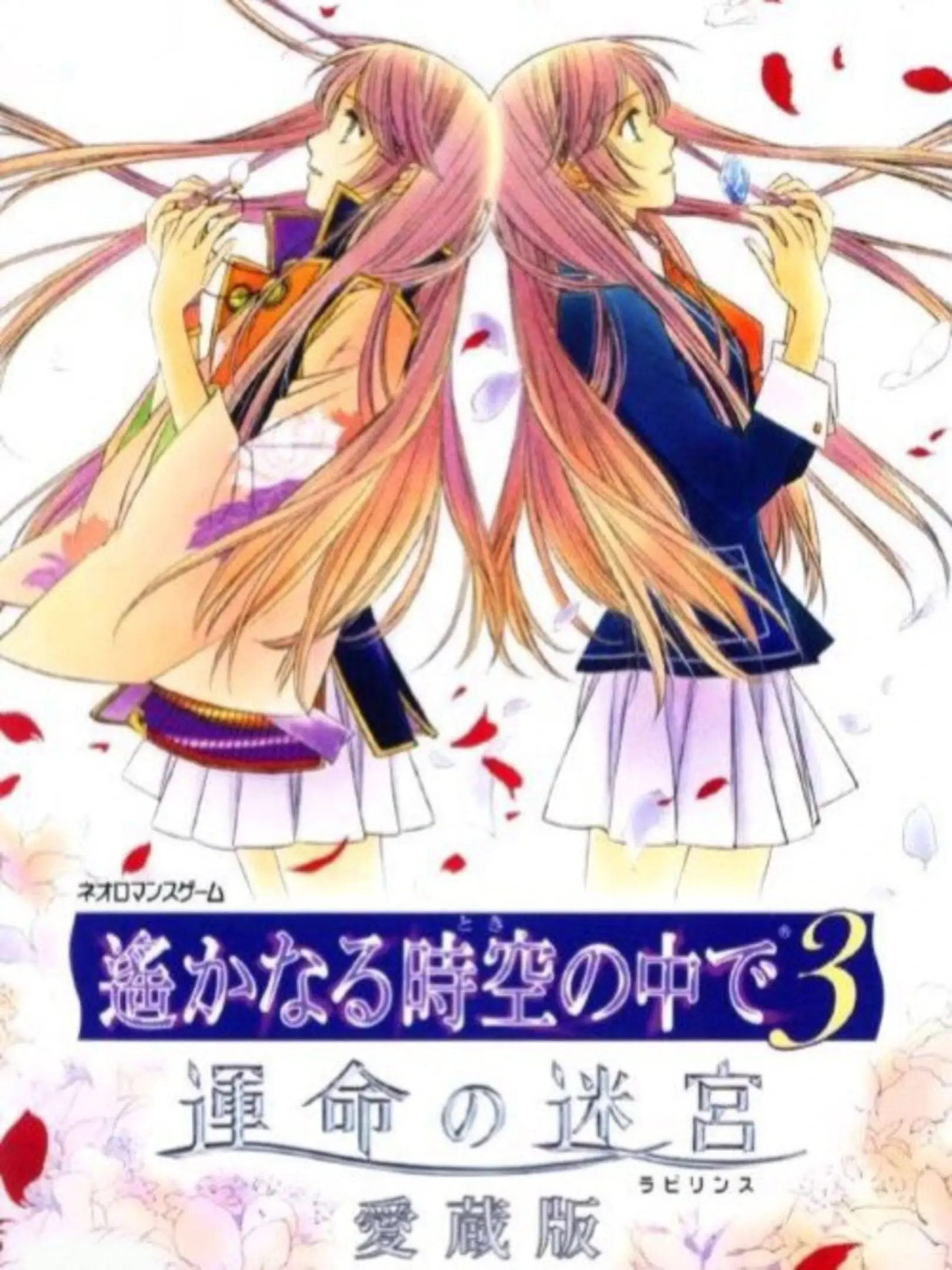 Harukanaru Toki no Naka de 3: Unmei no Labyrinth Aizouban