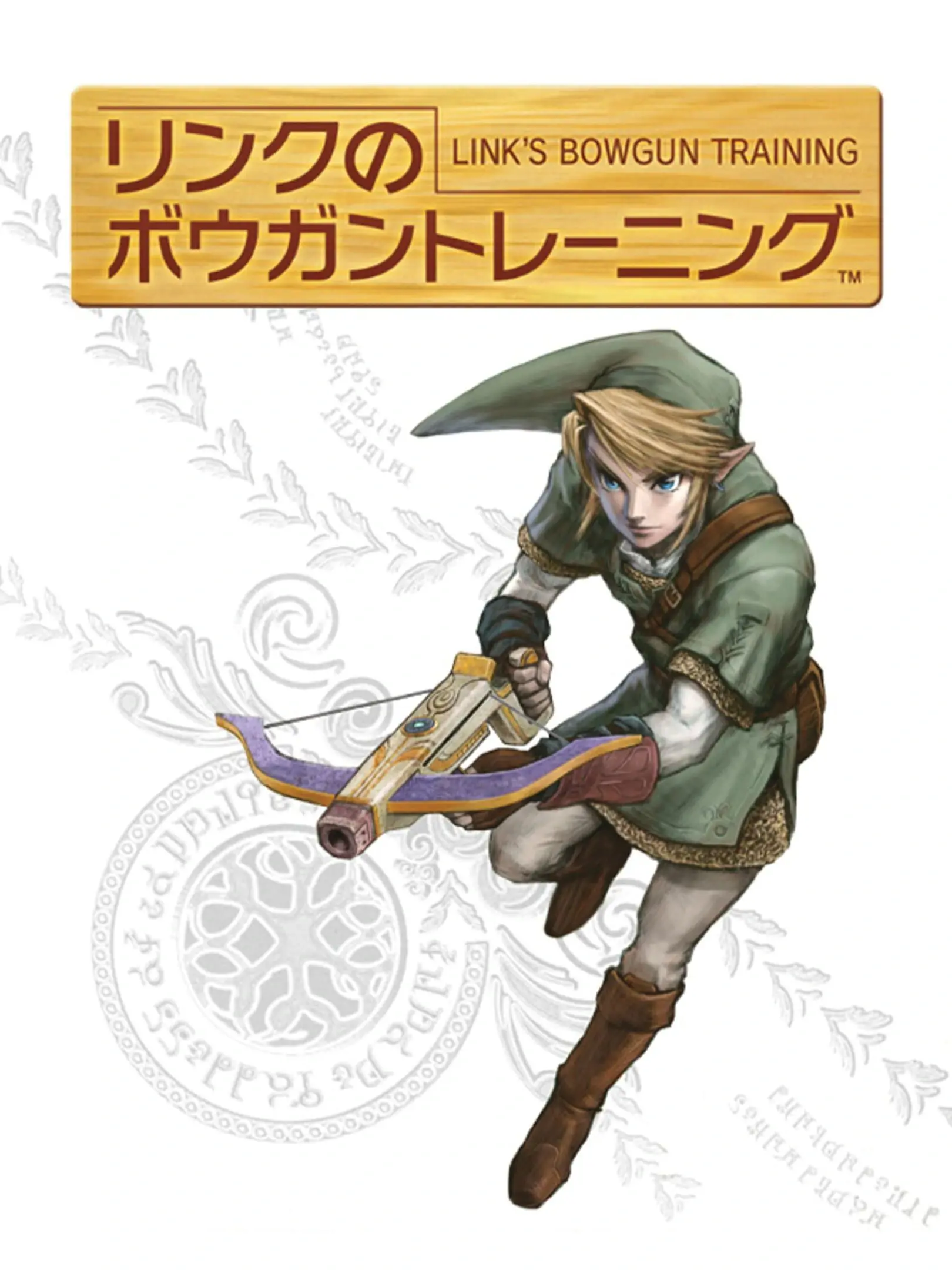Picture of Link's Crossbow Training (2)