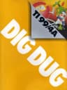 Picture of Dig Dug