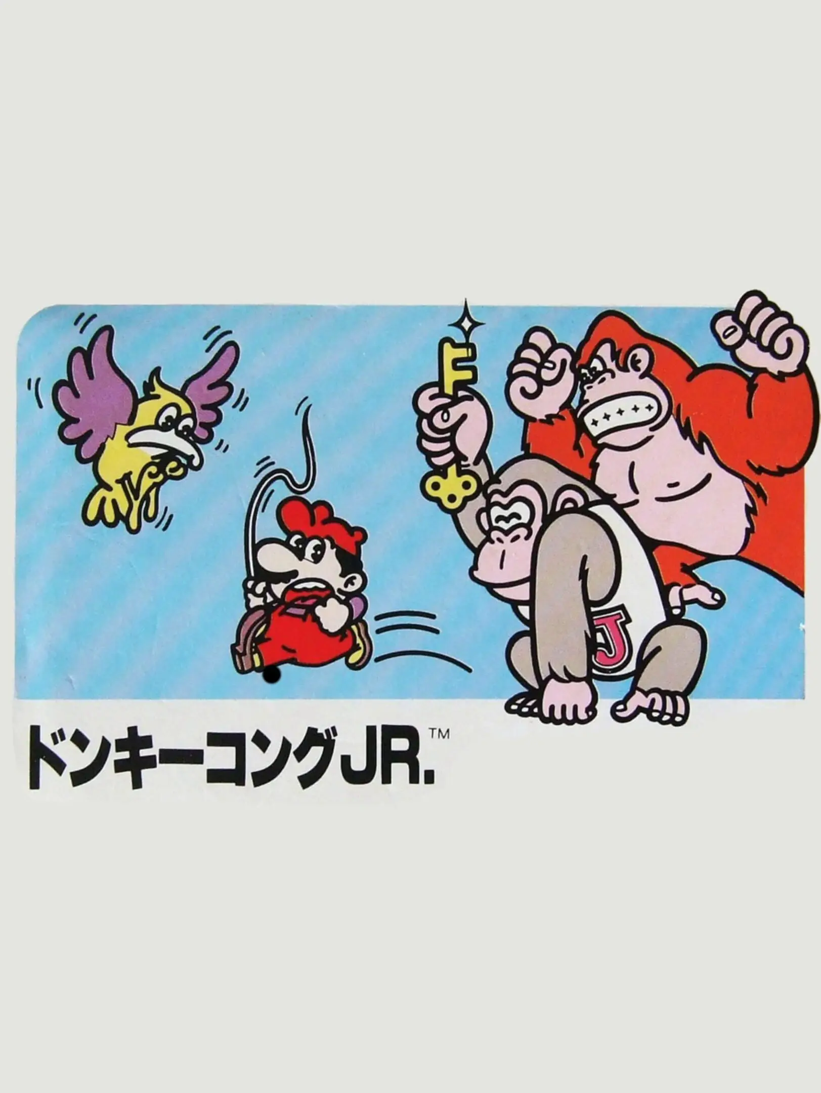 Picture of Donkey Kong Jr. (2)