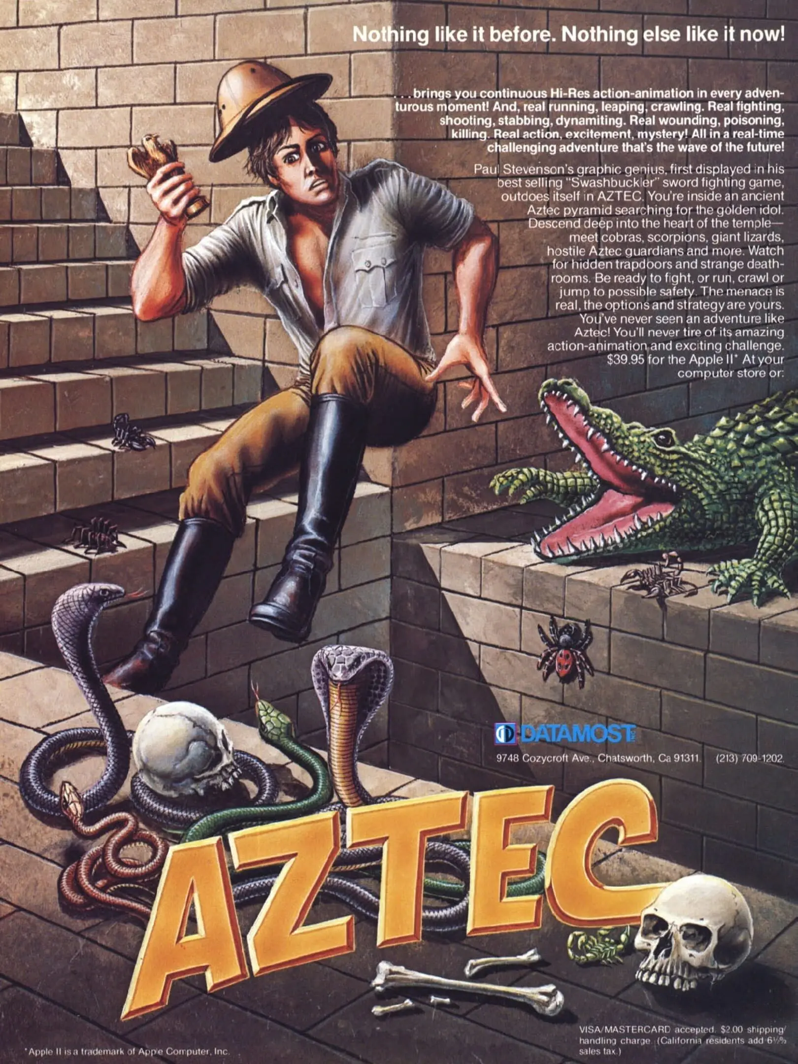 Picture of Aztec