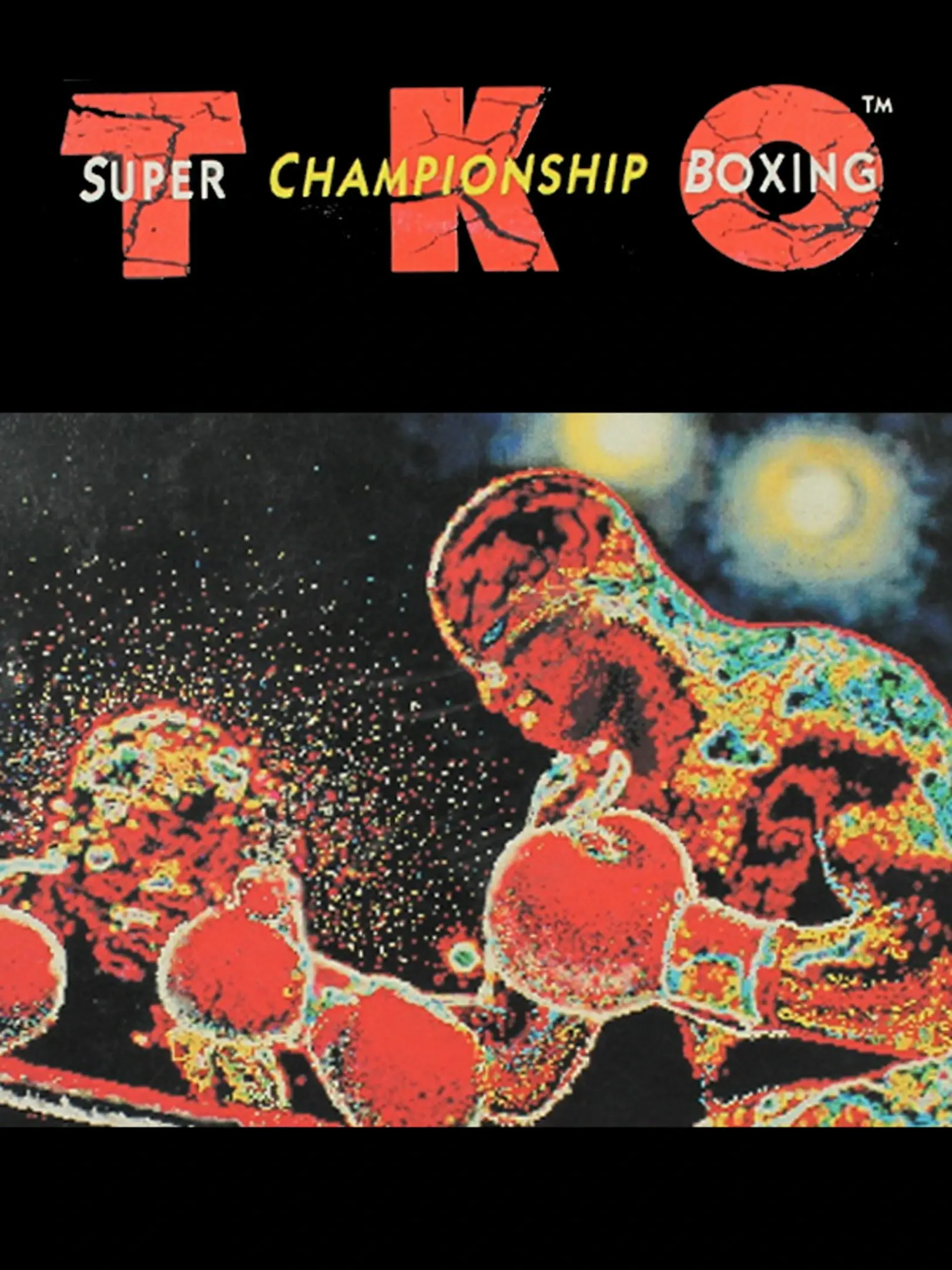 Picture of TKO Super Championship Boxing