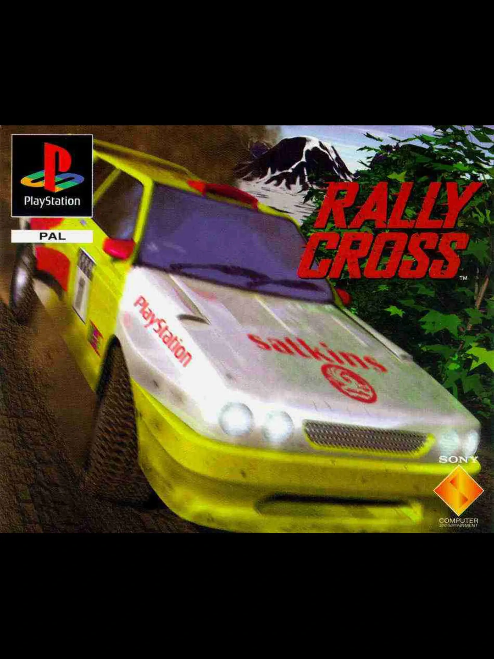Picture of Rally Cross (2)
