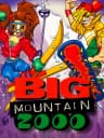 Picture of Big Mountain 2000