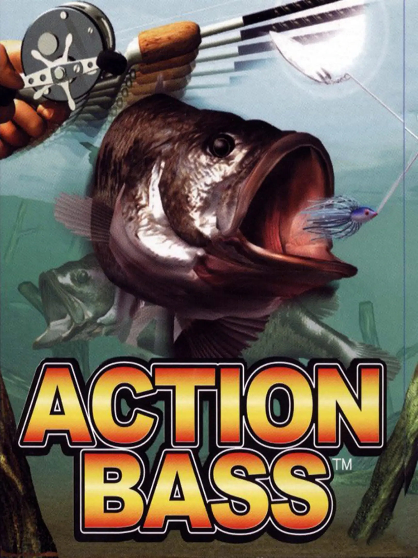 Picture of Action Bass