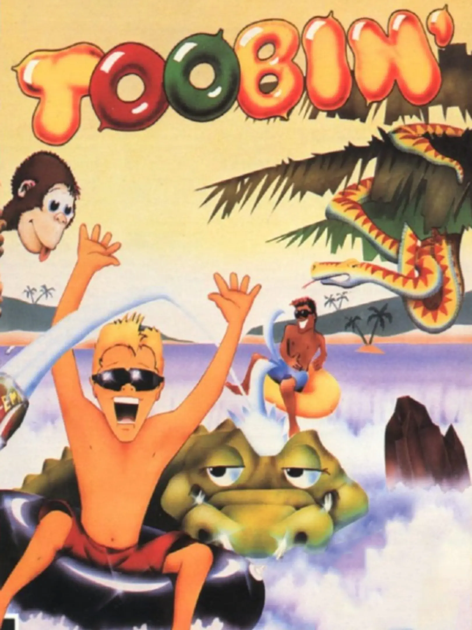 Picture of Toobin'