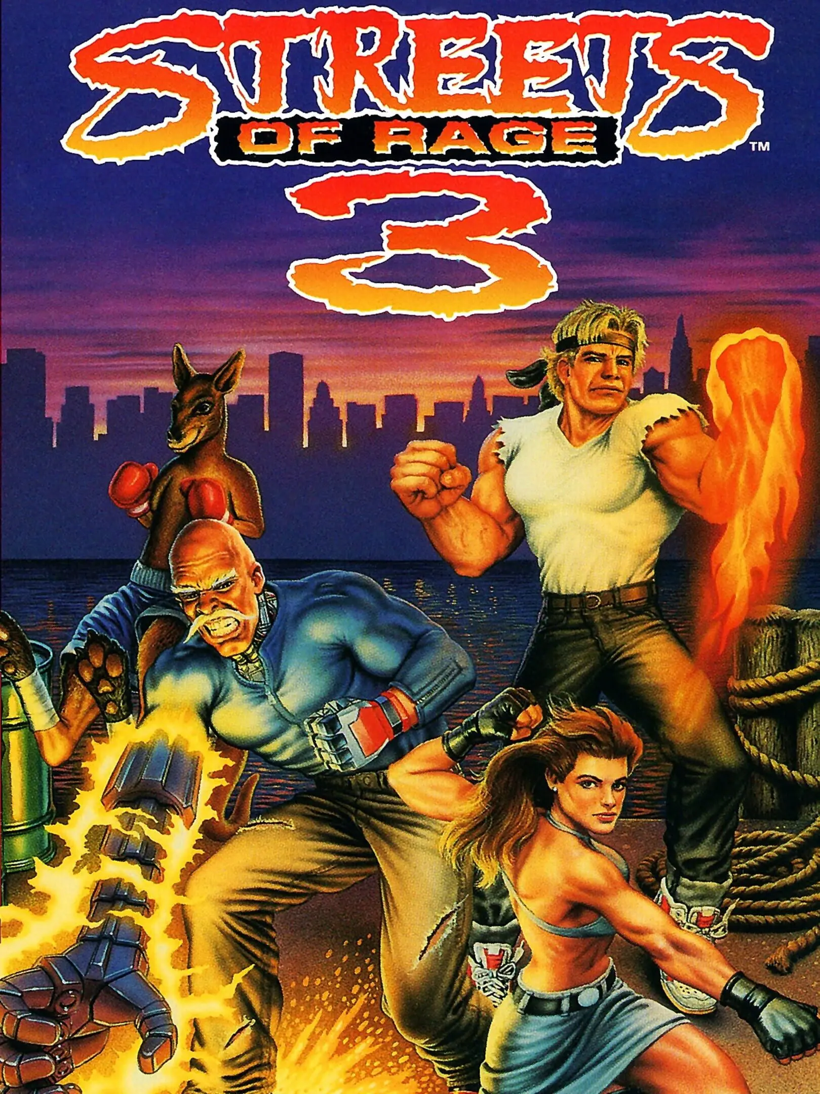 Picture of Streets of Rage 3